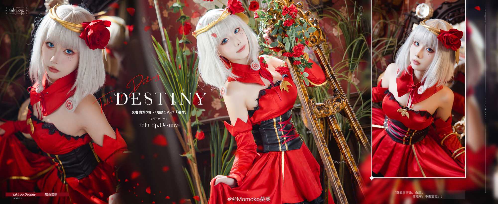 DESTINY.宿命回响@Momoko葵葵