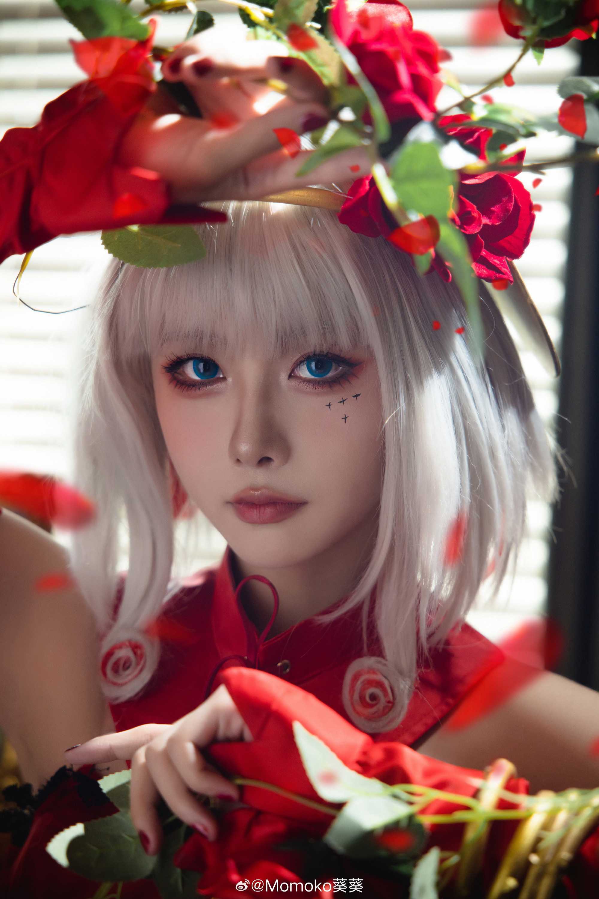 DESTINY.宿命回响@Momoko葵葵