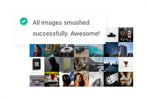WordPress优化加速图片插件 – WP Smush Pro v3.9.8
