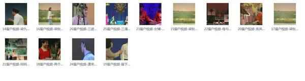 眉户戏MP3、视频全集,全套视频教程学习资料 眉户戏MP3、视频全集,全套视频教程学习资料
